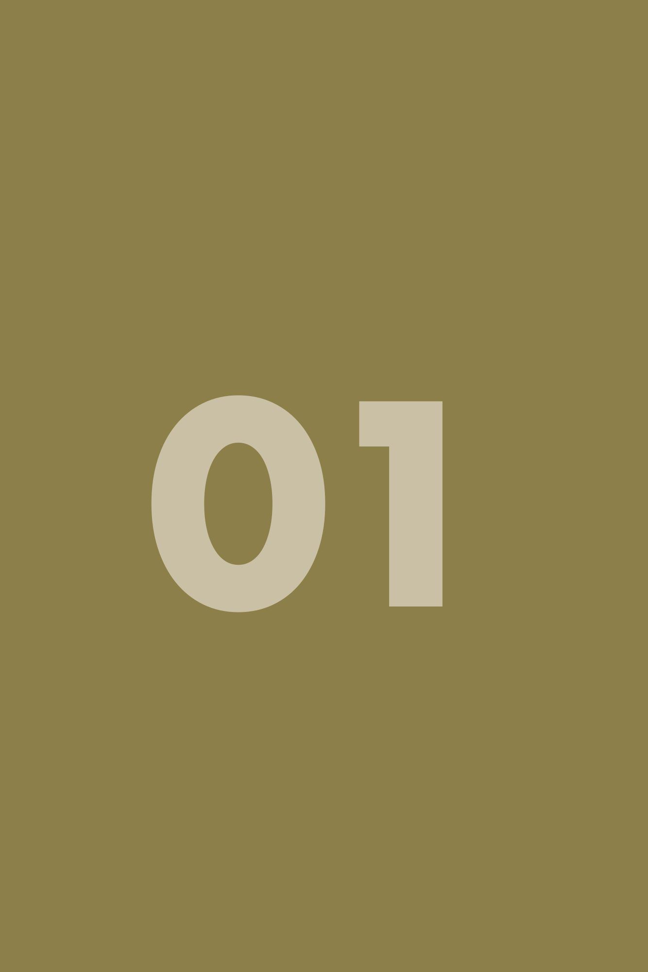 Placeholder frame 1