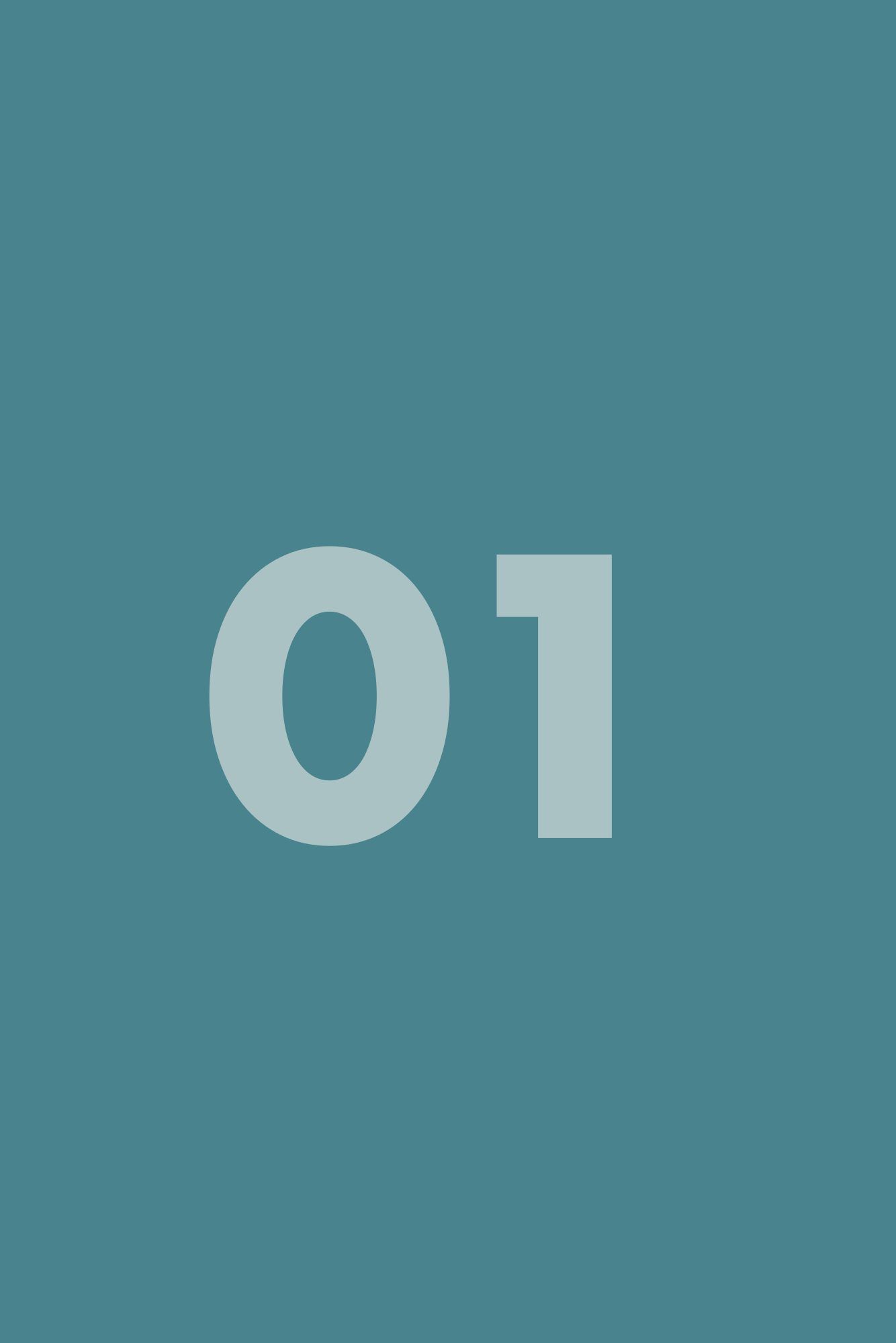 Placeholder frame 1
