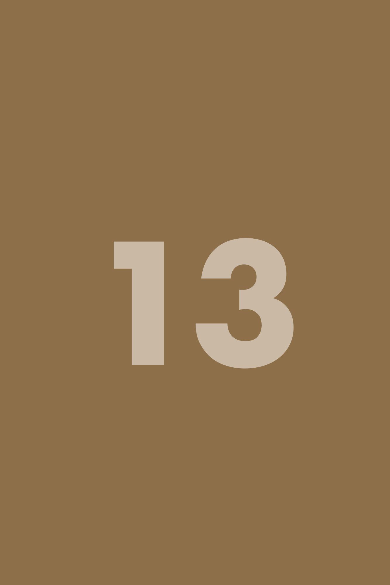 Placeholder frame 13