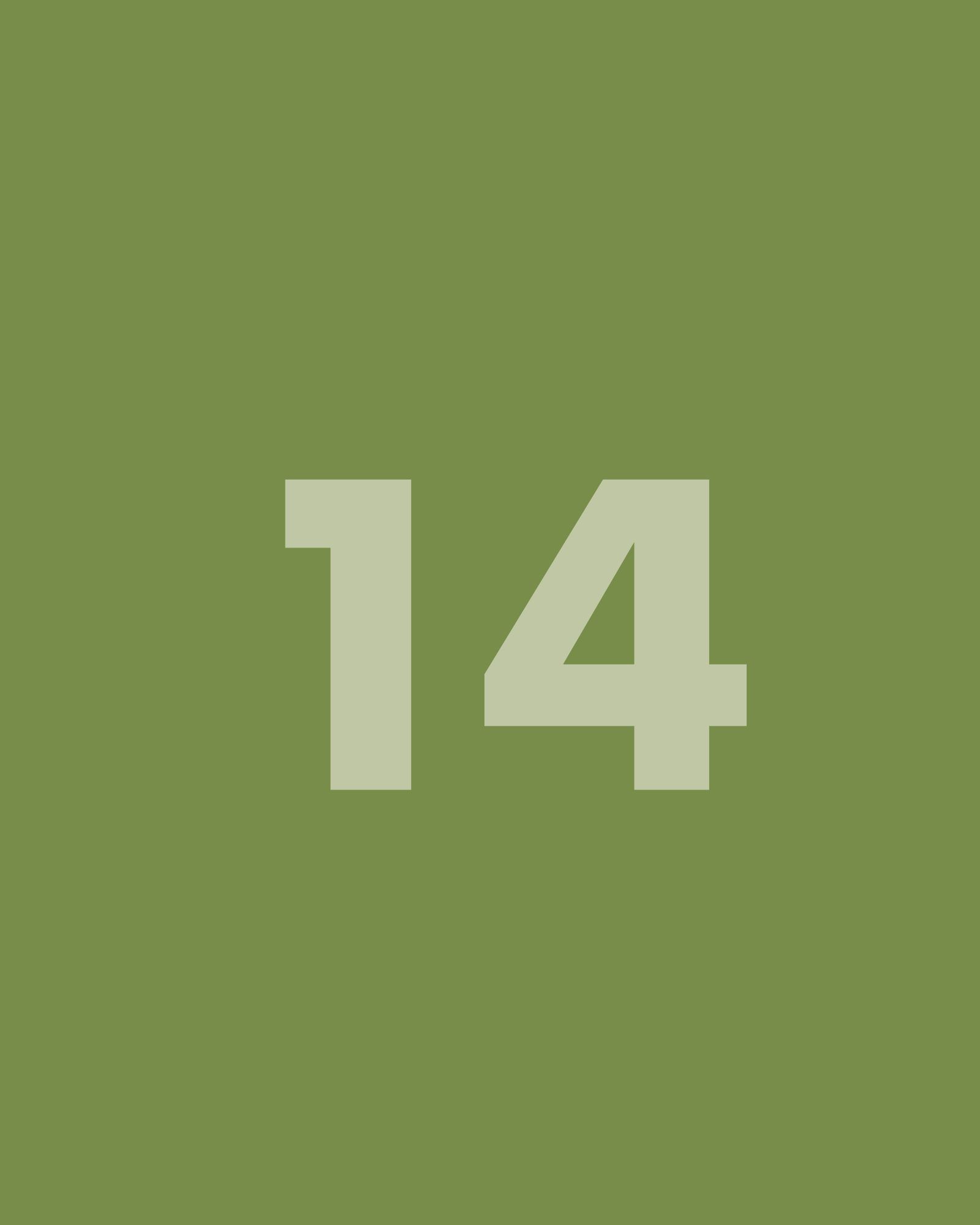 Placeholder frame 14