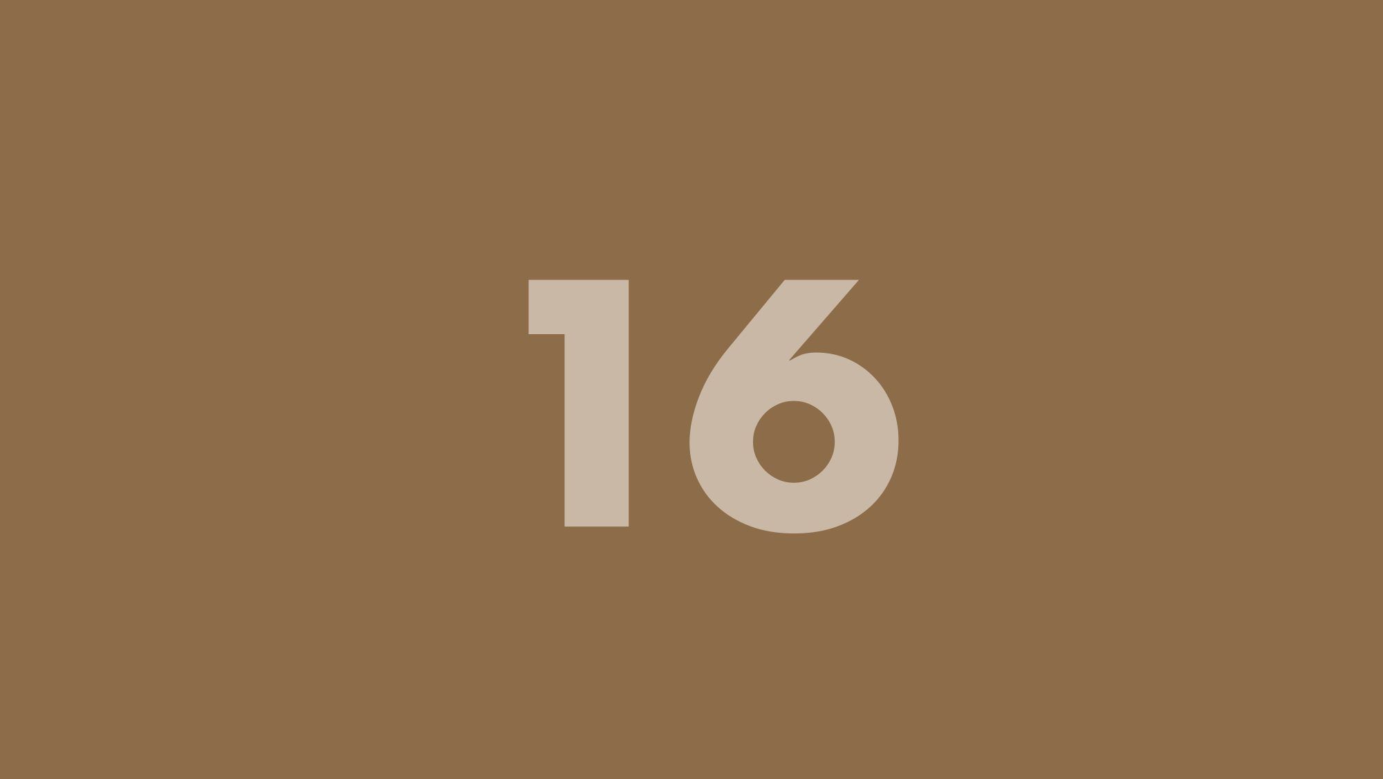 Placeholder frame 16