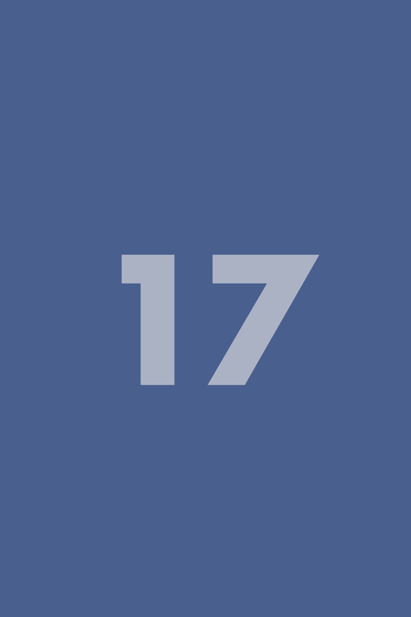 Placeholder frame 17