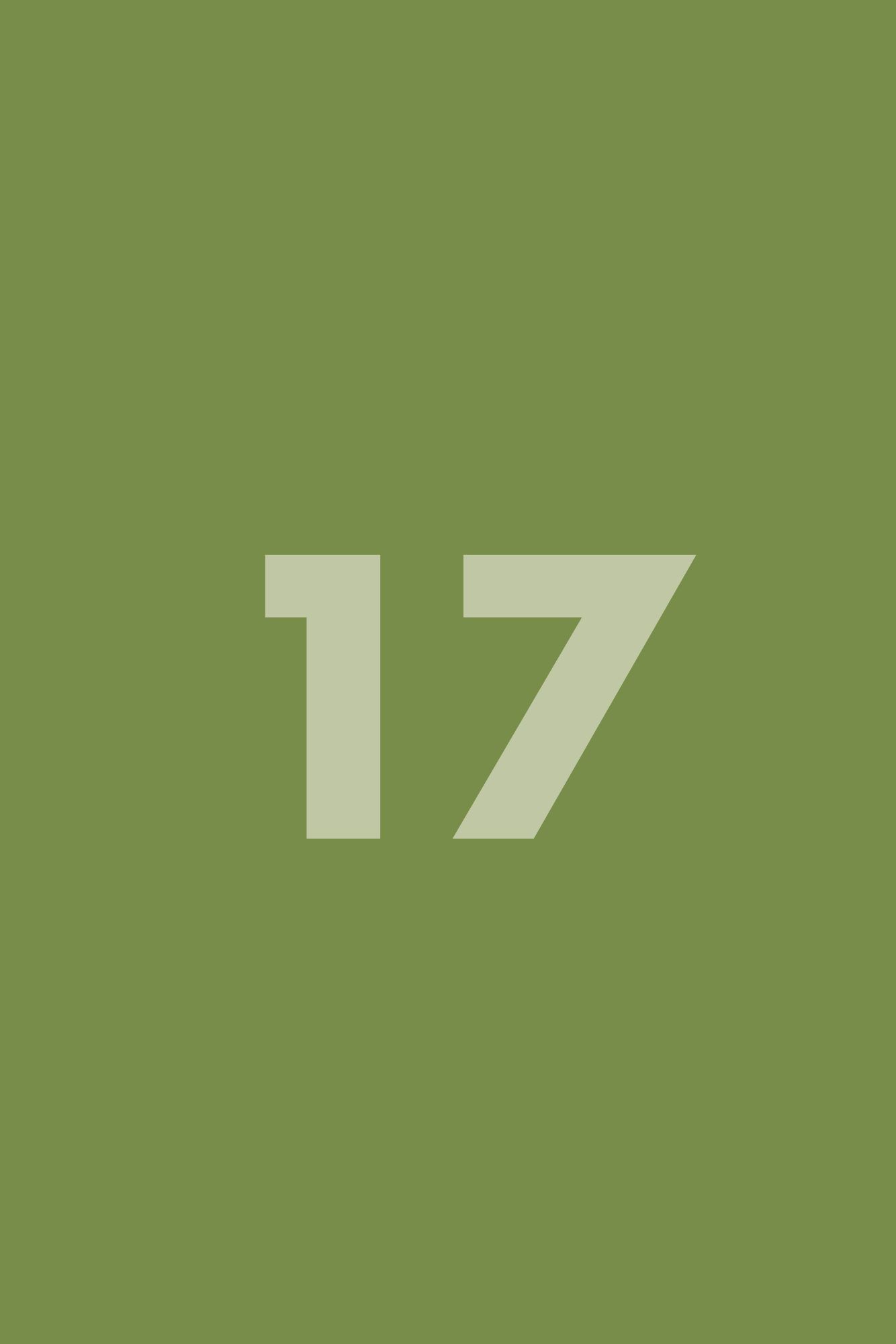 Placeholder frame 17